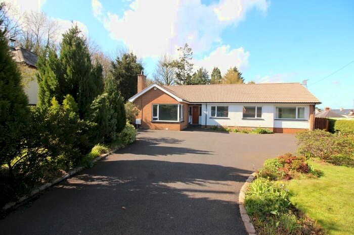 3 Bedroom Bungalow To Rent In Ballynahinch Road, Hillsborough, County Down, BT26