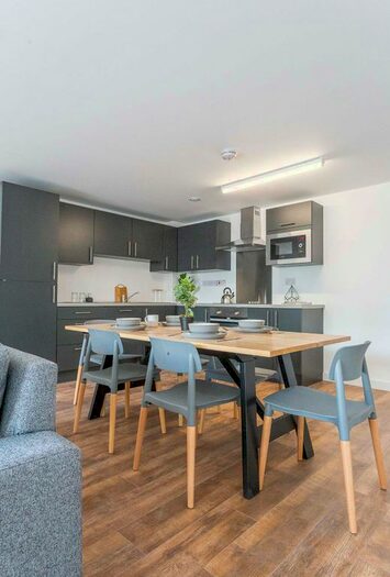 1 Bedroom Flat For Sale In Completed Liverpool Student Apartment, Hotham Street, Liverpo, Liverpool, L3