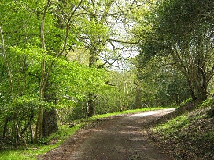 Land For Sale In Holford, Bridgwater, Somerset, TA5
