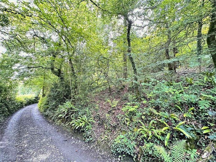 Land For Sale In Lewdown, Okehampton, EX20