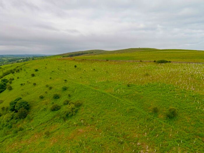Farm Land For Sale In Lot - Kidburngill Farm, Lamplugh, Cockermouth, CA14