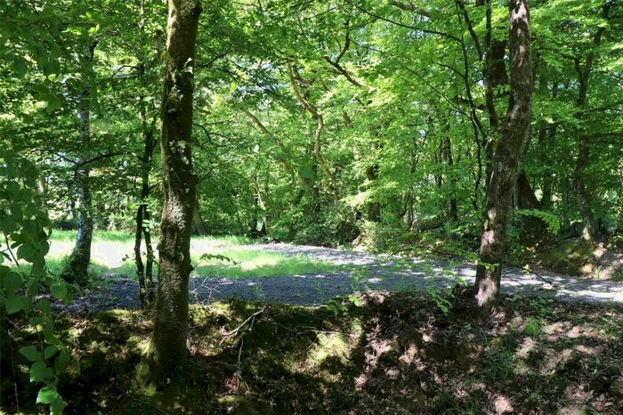 Land For Sale In Brandis Corner, Holsworthy, EX22