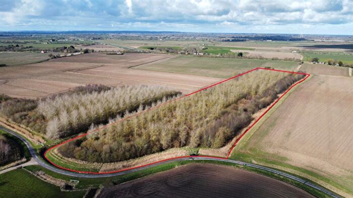 Land For Sale In . Acres Of Established Woodland, Wainfleet St Mary, PE24