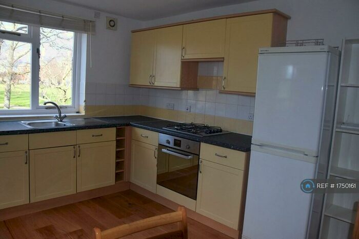 3 Bedroom Maisonette To Rent In Groombridge Road, London, E9