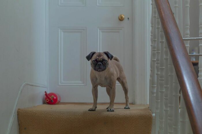 6 Bedroom Semi-Detached House To Rent In Finsbury Park Road, London, N4