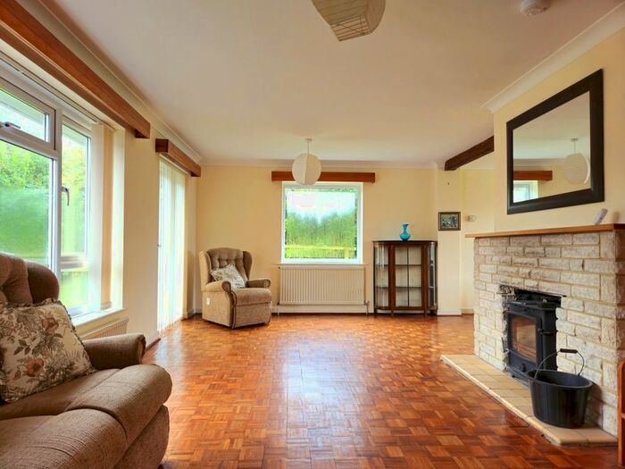 3 Bedroom Detached Bungalow To Rent In Noade Street, Ashmore, Salisbury, SP5