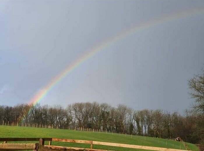 4 Bedroom Smallholding For Sale In Penybanc, Llandeilo, SA19