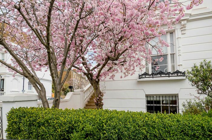 4 Bedroom Town House To Rent In Grafton Square, London, SW4