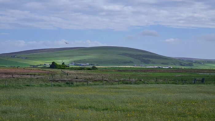 Land For Sale In Twatt, Orkney, KW17