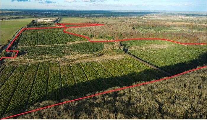 Farm For Sale In Home Farm, London Road, Tathwell, Louth, LN11