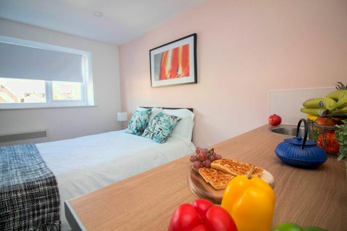 Studio To Rent In Ratton Street, Northwood, Stoke-On-Trent ST1