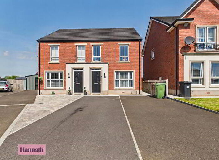 3 Bedroom Semi-Detached House For Sale In Carnreagh Park, Craigavon, BT64