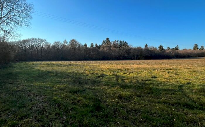 Land For Sale In Ashwater, Beaworthy, EX21