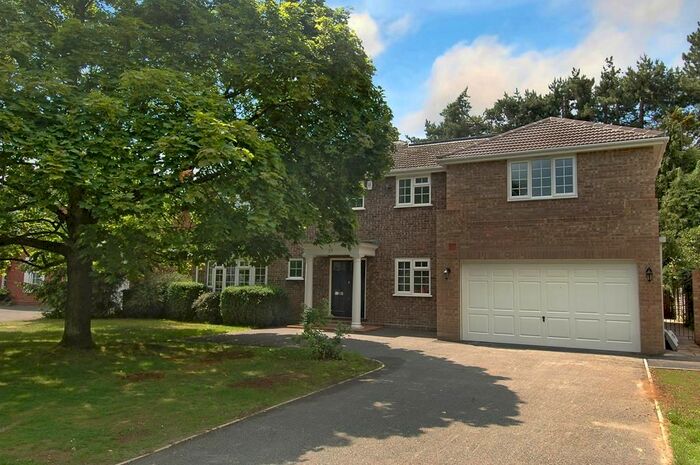 5 Bedroom Detached House To Rent In Pine Walk, Cobham, KT11