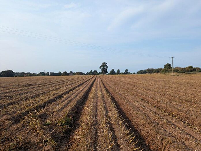 Land For Sale In Saxmundham, Suffolk, IP17