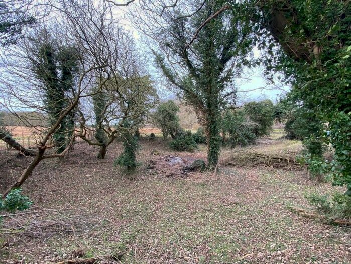 Land For Sale In Land Opposite Tottington Road, Little Cressingham, Thetford, Norfolk, IP25