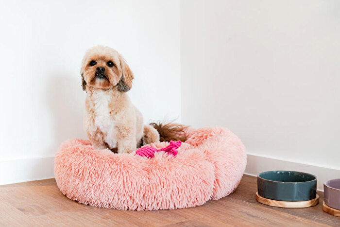 2 Bedroom Flat To Rent In Fizzy Poplar, Lindfield Street, Poplar, E14