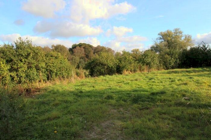 Land For Sale In Land Off Acle Road, Moulton St. Mary, Norwich, Norfolk NR13