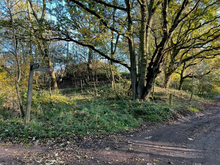 Land For Sale In Lyng Road, Sparham, Norwich NR9