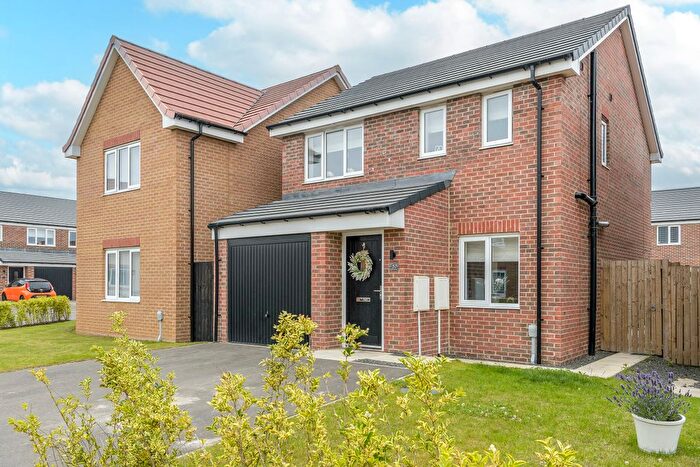 3 Bedroom Detached House For Sale In Gannet Drive, Amble, Morpeth, Northumberland, NE65