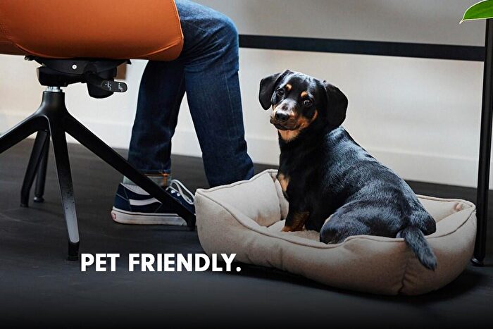 1 Bedroom Apartment To Rent In Glebe Street, Stoke-On-Trent, Staffordshire, ST4