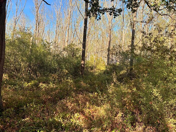 Land For Sale In Little Bookham Common, Little Bookham, KT23