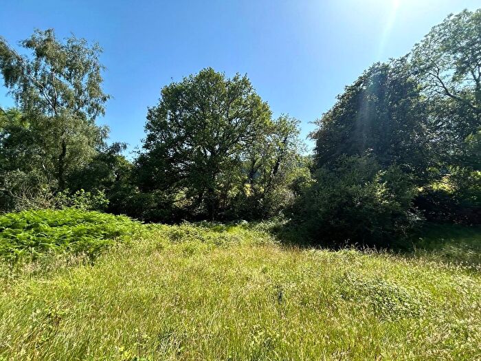 Land For Sale In Monkton Wyld, Bridport, Dorset, DT6