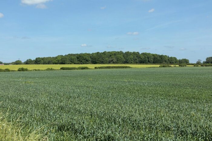 Land For Sale In Siddington, Cirencester, GL7