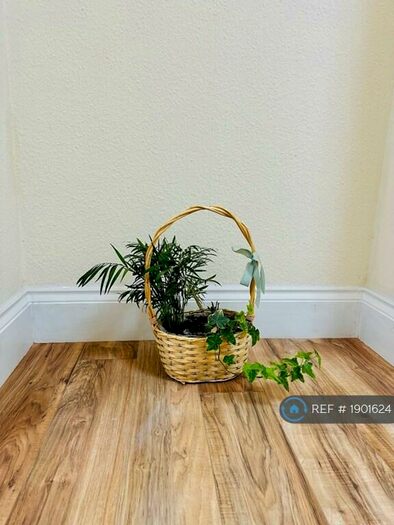 3 Bedroom Terraced House To Rent In Audley Street, Reading, RG30