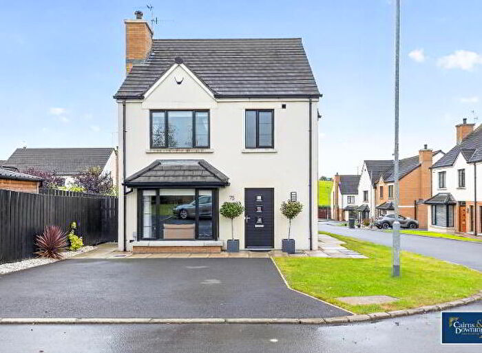 3 Bedroom Detached House For Sale In Bishops Green, Banbridge, BT32