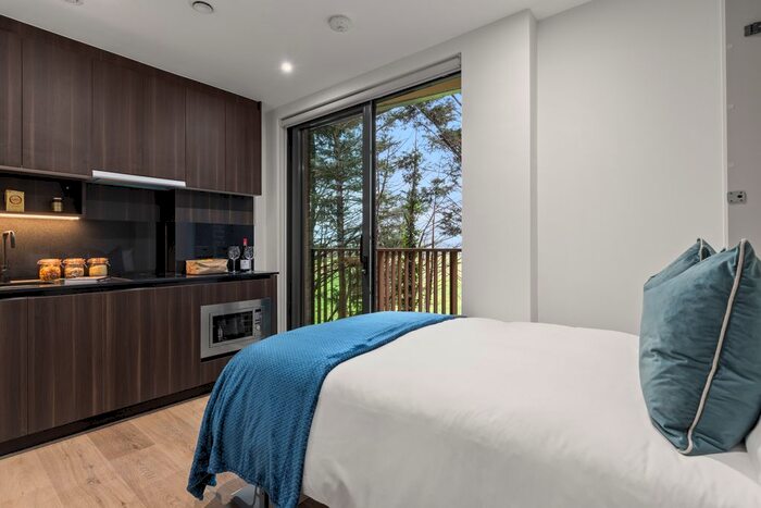 Studio To Rent In Hanger Lane, Ealing, W5