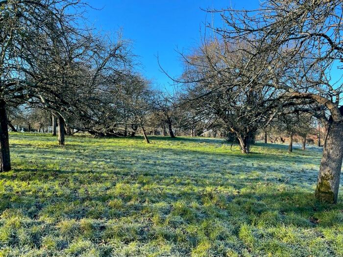 Farm Land For Sale In Blackford, Nr Wedmore, BS28