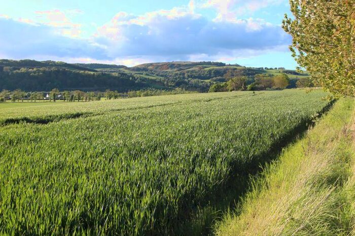 Property For Sale In Rait, Perth, PH2