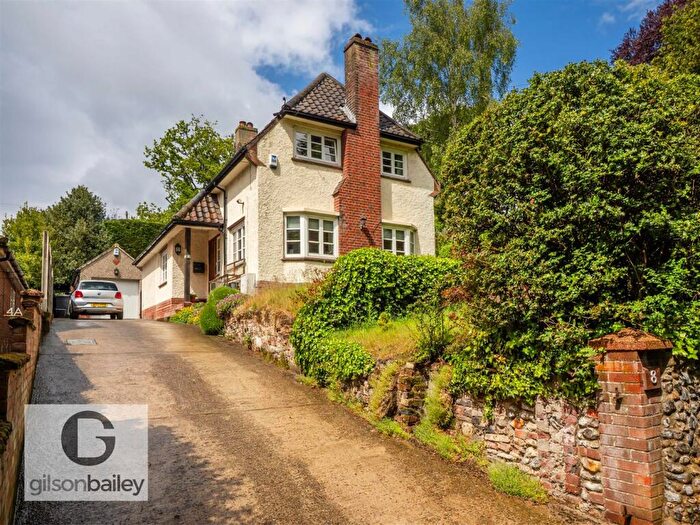 3 Bedroom Detached House For Sale In Cotman Road, Norwich, NR1