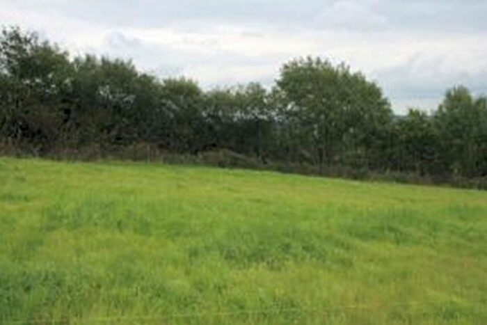 Land For Sale In Plot, Hollacombe, Holsworthy, Clawton, Devon, EX22