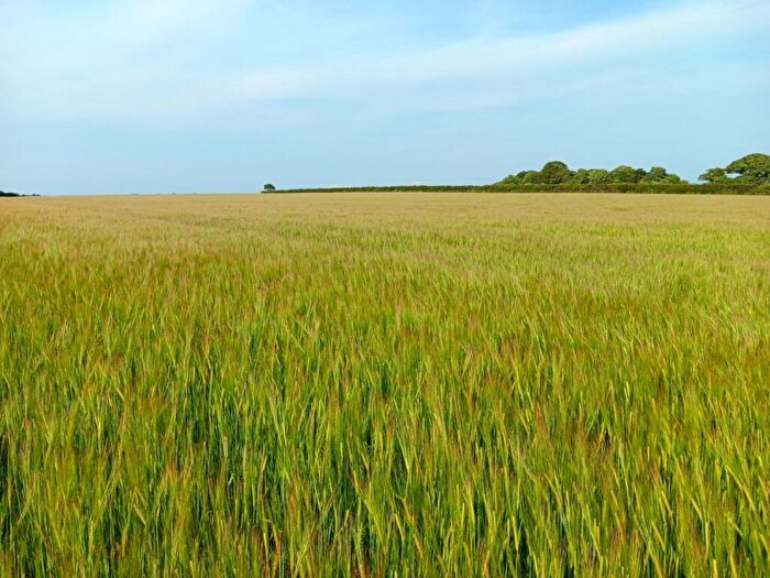 Property For Sale In Standing Crop Available At Kirkbampton, Kirkbampton, CA5