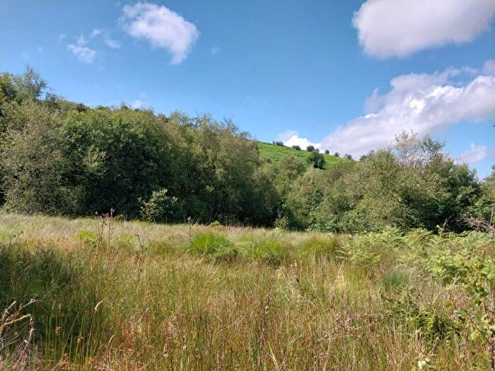 Land For Sale In Sticklepath, Devon, EX20