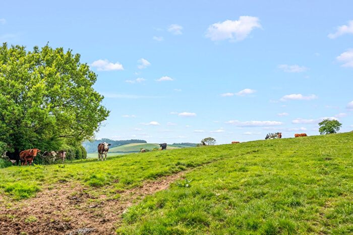Land For Sale In Lot - Dipwell Farm, Ashburton, TQ13