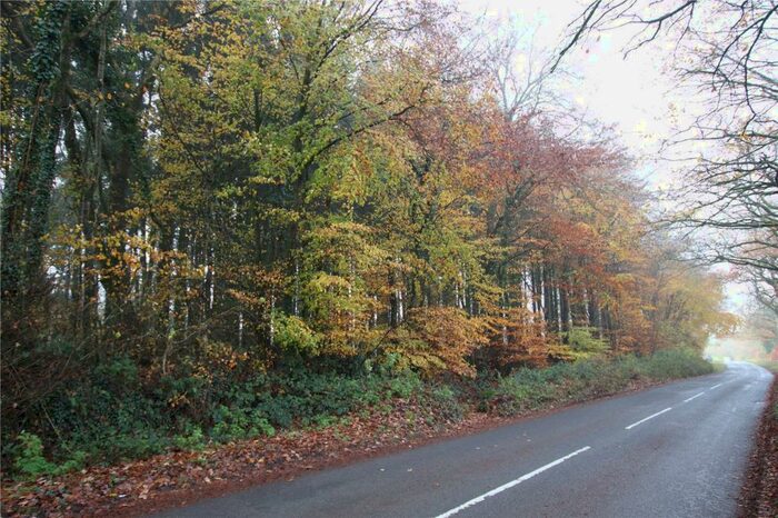 Land For Sale In Rackenford, Devon, EX16