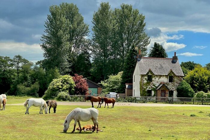 5 Bedroom Detached House For Sale In Kingston Common, Ringwood, BH24