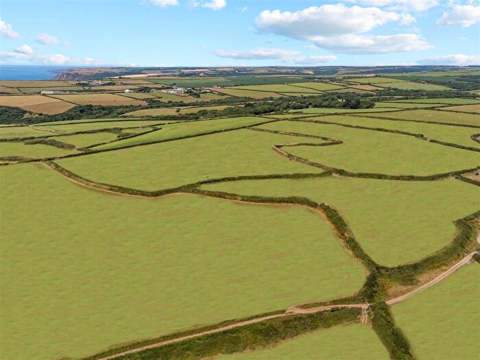 Land For Sale In Woodford, Bude, EX23