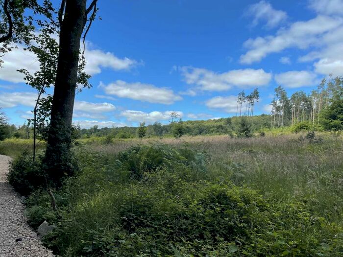 Land For Sale In Teffont, Salisbury, SP3
