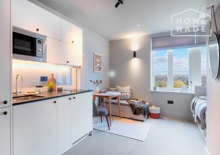 Studio To Rent In Augustus Road, London, SW19