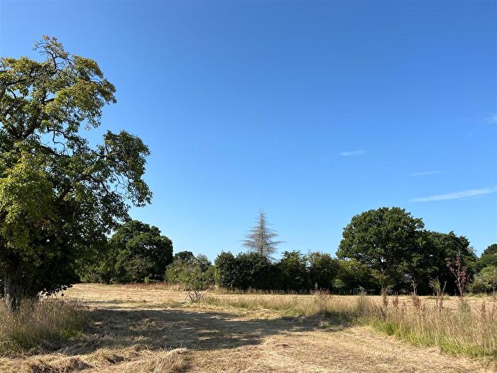 Farm To Rent In Leigh Lane, Cole Hill, Wimborne, BH21