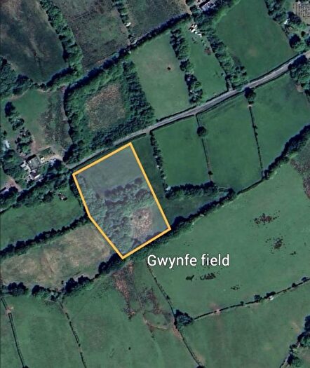 Land For Sale In Gwynfe, Llangadog, SA19