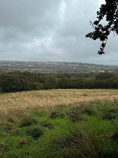 Land For Sale In Bodmin, PL30