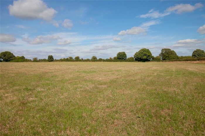 Land For Sale In Ashmore, Shaftesbury, SP5