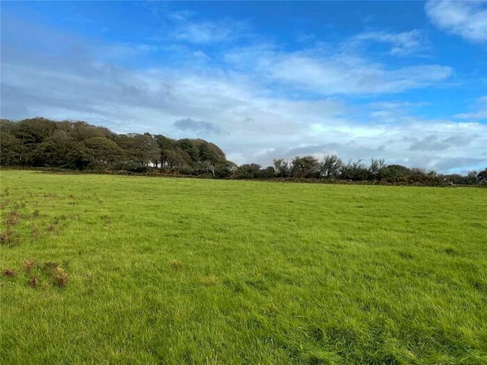 Land For Sale In Land At Meavy And Sheepstor, Meavy, Yelverton, Devon, PL20