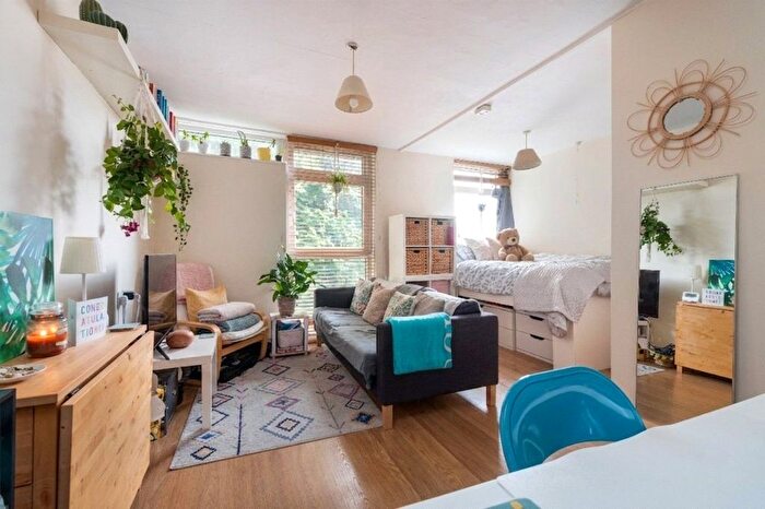 Studio To Rent In Westbridge Road, London, SW11