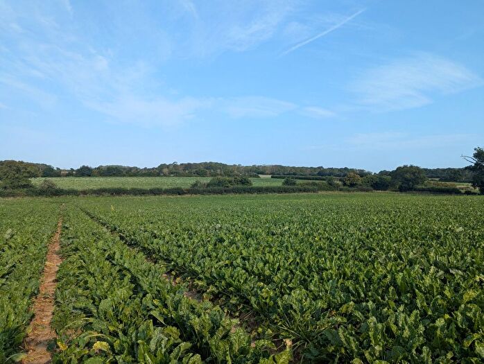 Land For Sale In Saxmundham, Suffolk, IP17
